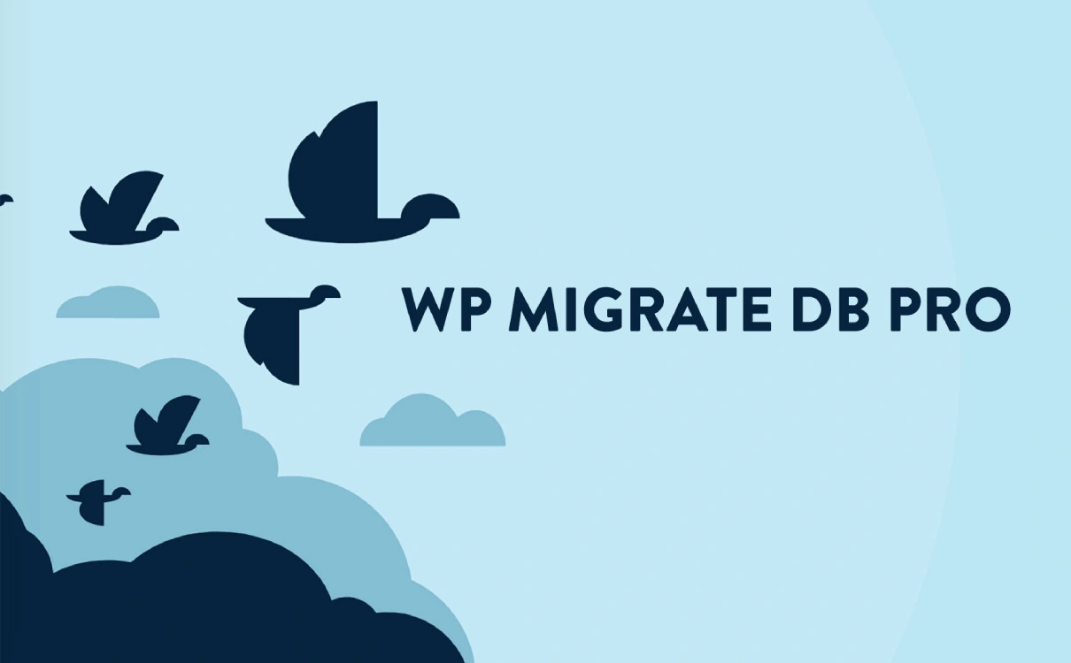 WP Migrate DB Pro